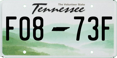 TN license plate F0873F