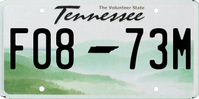 TN license plate F0873M