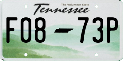 TN license plate F0873P