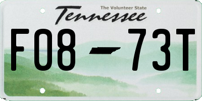 TN license plate F0873T