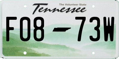 TN license plate F0873W