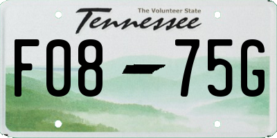 TN license plate F0875G