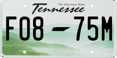TN license plate F0875M