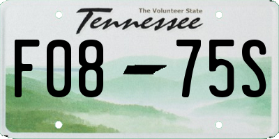 TN license plate F0875S