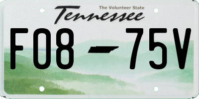 TN license plate F0875V
