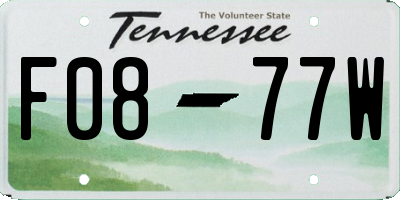 TN license plate F0877W