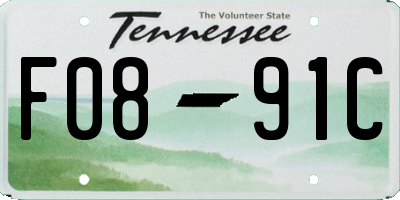 TN license plate F0891C
