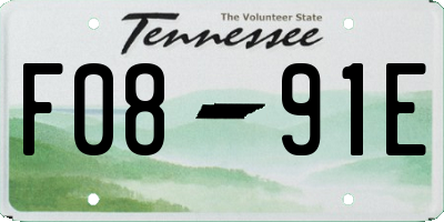 TN license plate F0891E
