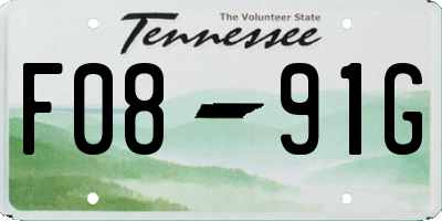 TN license plate F0891G