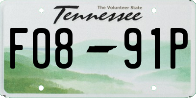 TN license plate F0891P