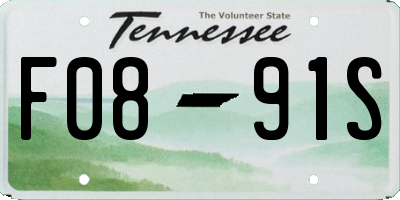 TN license plate F0891S