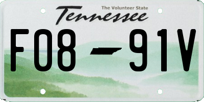 TN license plate F0891V