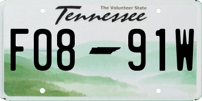 TN license plate F0891W