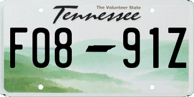TN license plate F0891Z