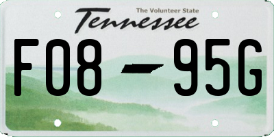 TN license plate F0895G