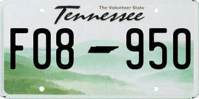 TN license plate F0895O