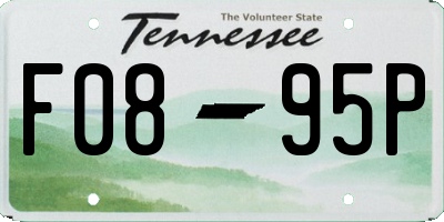 TN license plate F0895P