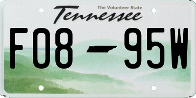 TN license plate F0895W