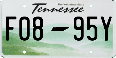 TN license plate F0895Y