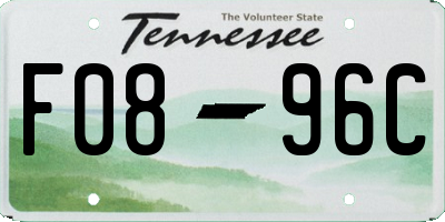 TN license plate F0896C