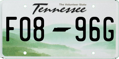 TN license plate F0896G