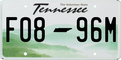 TN license plate F0896M