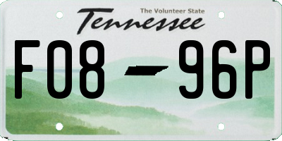 TN license plate F0896P
