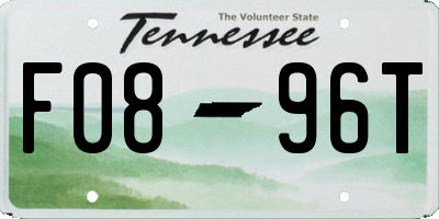 TN license plate F0896T