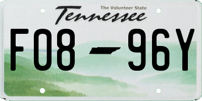 TN license plate F0896Y