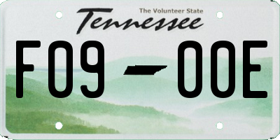 TN license plate F0900E