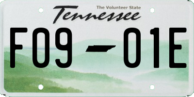 TN license plate F0901E