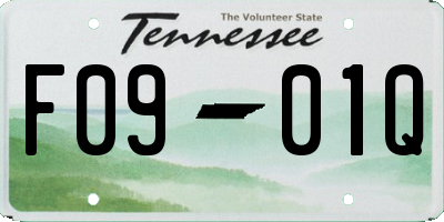 TN license plate F0901Q