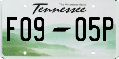 TN license plate F0905P
