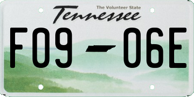 TN license plate F0906E