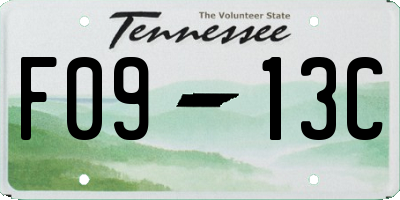 TN license plate F0913C