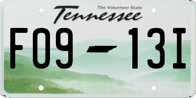 TN license plate F0913I