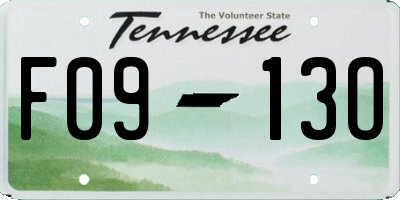 TN license plate F0913O