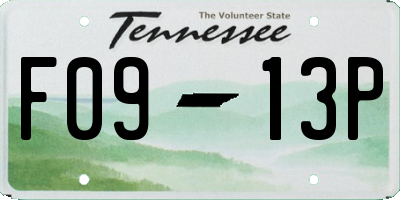 TN license plate F0913P