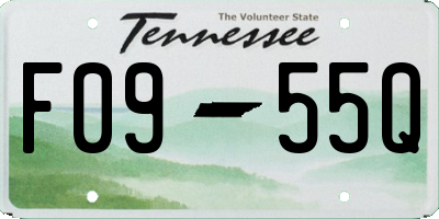 TN license plate F0955Q