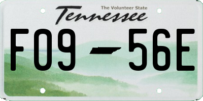 TN license plate F0956E