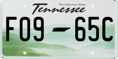 TN license plate F0965C
