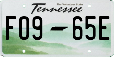 TN license plate F0965E