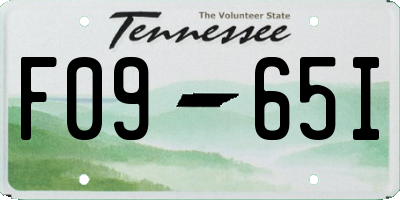 TN license plate F0965I