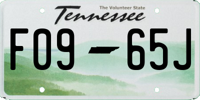TN license plate F0965J
