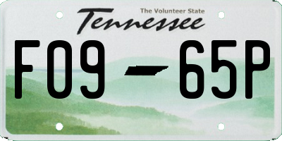 TN license plate F0965P