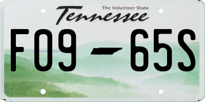 TN license plate F0965S
