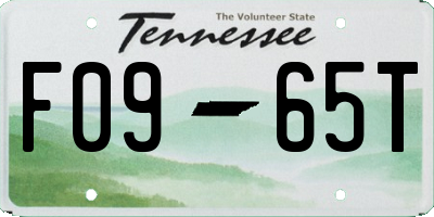 TN license plate F0965T