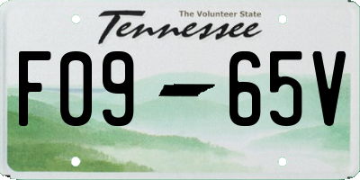 TN license plate F0965V