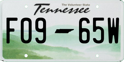 TN license plate F0965W