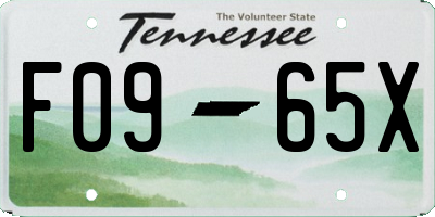 TN license plate F0965X
